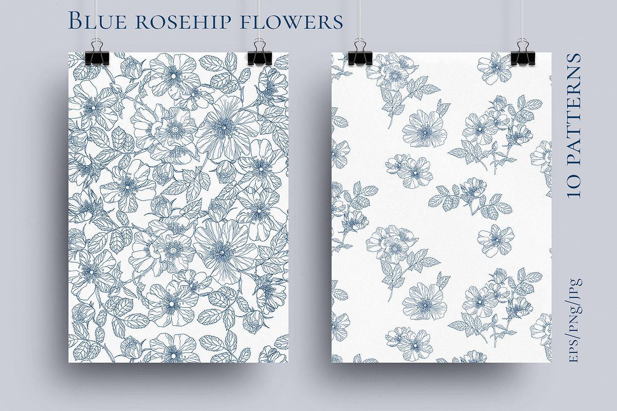 Blue rosehip flowers, a Decorative Illustration by LanaDzi (Photo 4 of 12)