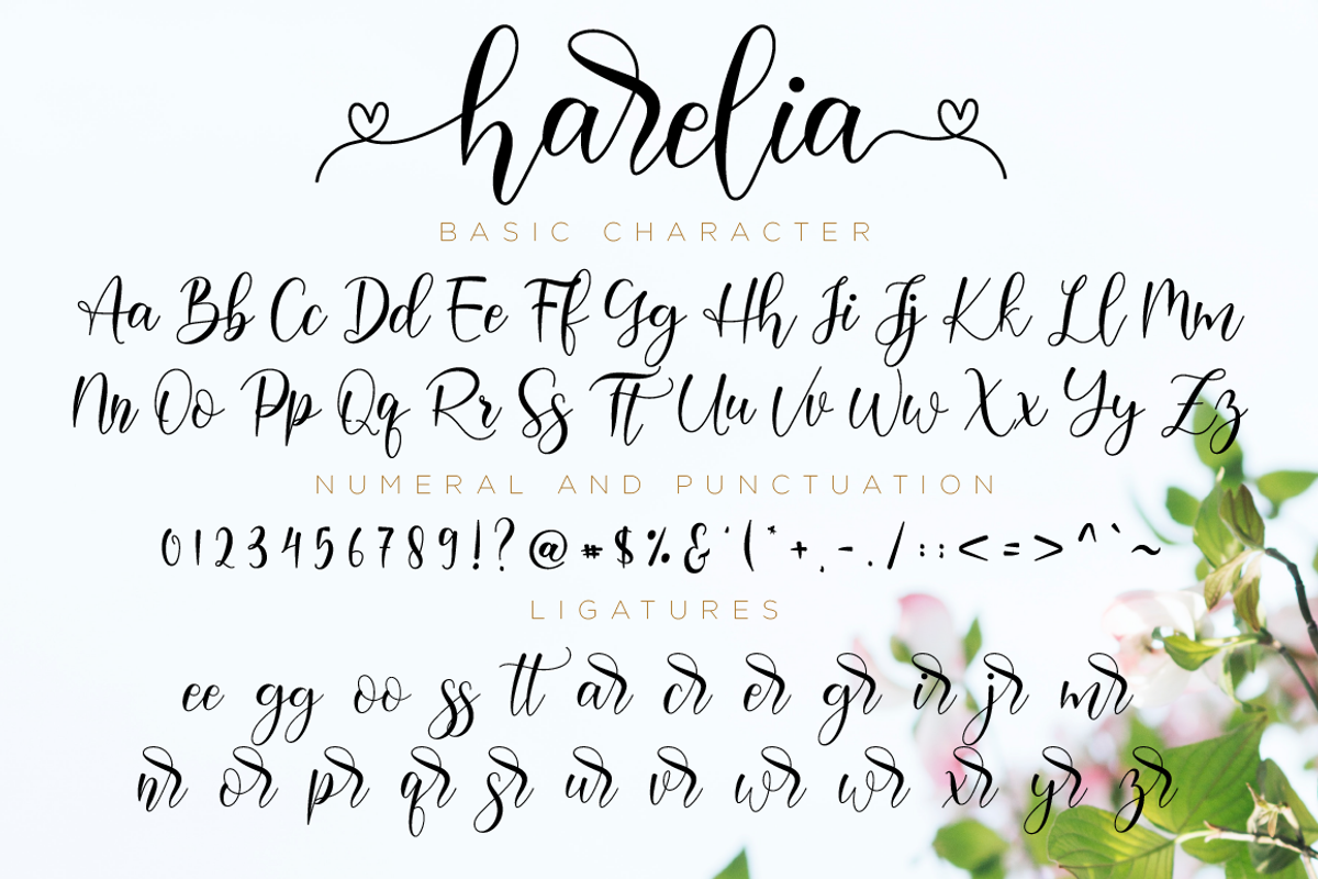 Harelia // Lovely Script Font, a Script Font by Nissa Studio (Photo 11 of 12)