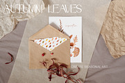 Autumn Leaves Set Illustrations, a Seasonal Illustration by NataliArkushArt (Thumbnail 6 of 12)