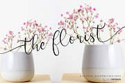 Ghadys - Classic Handwritten, a Script Font by erlosDESIGN (Thumbnail 7 of 12)