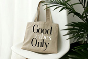 Elighina Serif, a Serif Font by TM Type (Thumbnail 10 of 15)