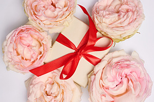 Festive arrangement with a gift box tied with a red ribbon, surr, a Holiday Photo by ndanko