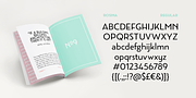 Rosina, a Sans Serif Font by Hashtag Type (Thumbnail 2 of 9)