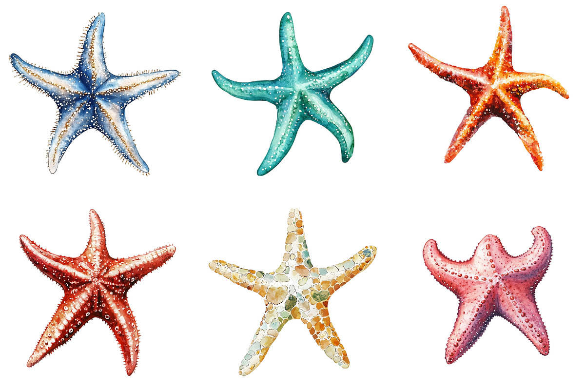 Starfish Watercolor Clipart Bundle, an Illustration by Pixels.Craft (Photo 3 of 8)