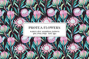 Protea flowers watercolor pattern, a Pattern Graphic by Robusta (Thumbnail 1 of 5)
