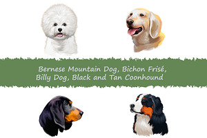 Dogs Pet Portraits Art Print Set 17