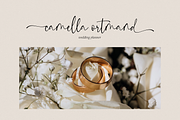 Belathine - Modern Script Font, a Script Font by MJB Letters (Thumbnail 9 of 10)