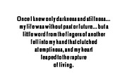 Adyson A Sans Serif Font Family, a Sans Serif Font by Creativetacos (Thumbnail 5 of 5)