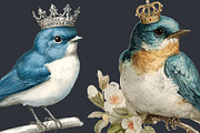 French Bluebirds Clipart 24 PNG, an Animal Illustration by EleSArtDesign (Thumbnail 4 of 4)