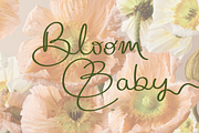 Monterey | Handwritten Script Font, a Handwritten Font by Monterey Studio (Thumbnail 7 of 15)