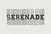Blockton Stacked, a Slab Serif Font by Dm Studio (Thumbnail 8 of 10)