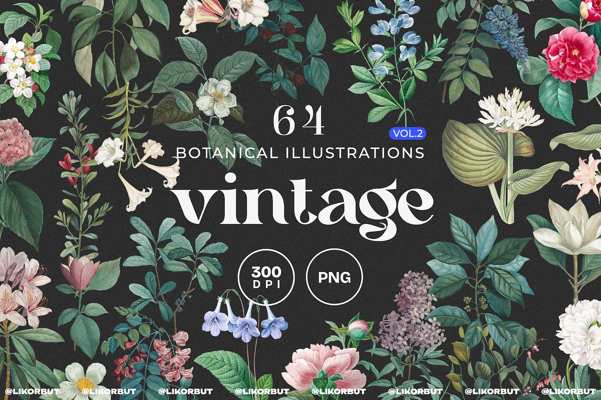 Vintage Botanical Illustrations 2, a Decorative Illustration by likorbut (Photo 1 of 9)