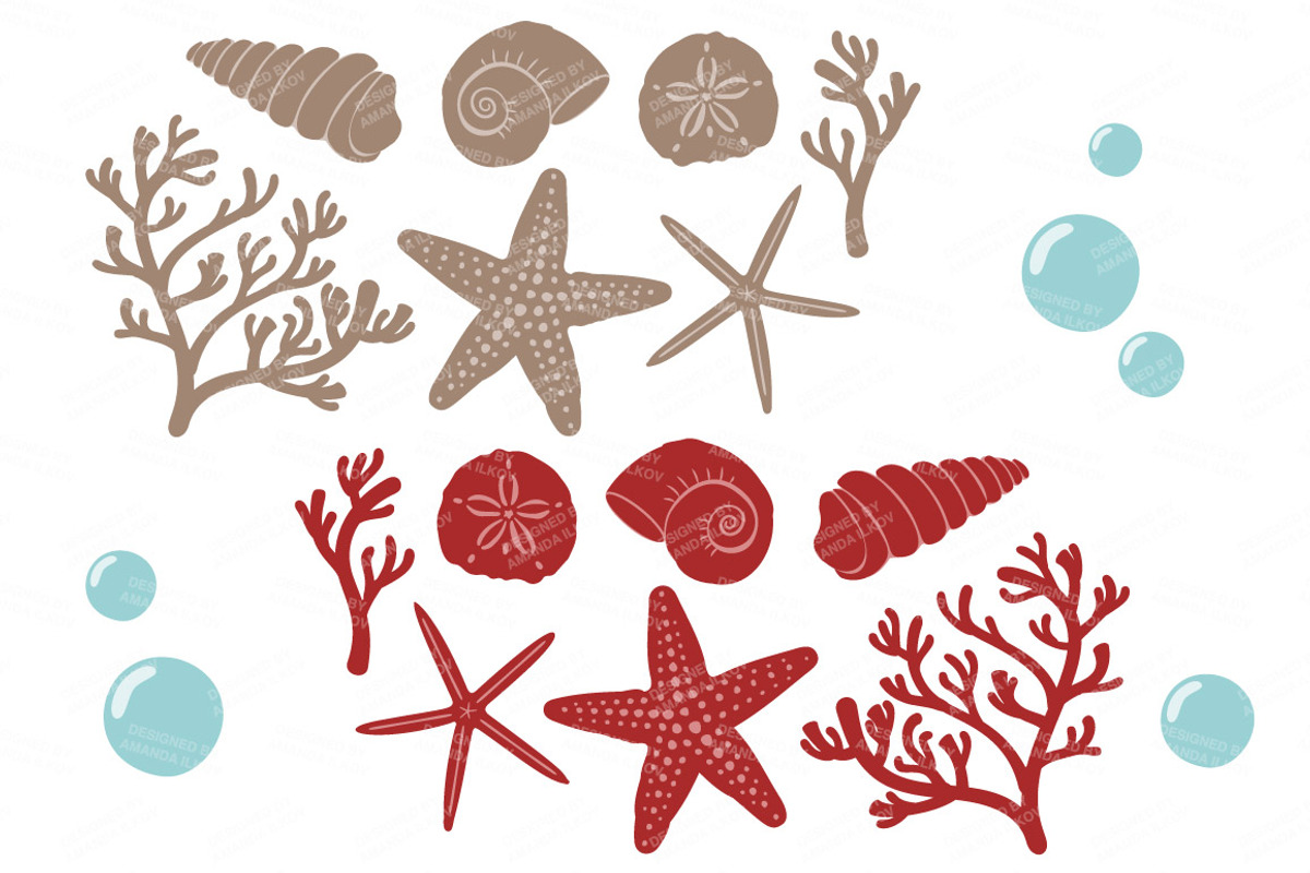 Seashells Clipart in Red & Robin Egg, an Illustration by Amanda Ilkov (Photo 5 of 5)