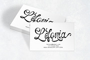 Selfino Script, a Script Font by Madjack.font (Thumbnail 4 of 12)