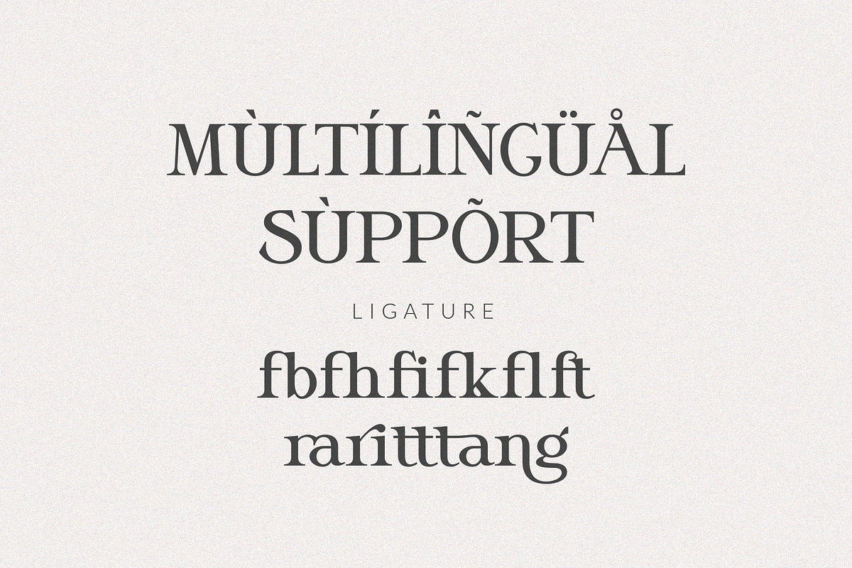 Sangrita, a Serif Font by ToniStudio (Photo 9 of 9)