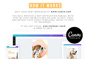 Pets Instagram Story Posts, a Social Media Template by Cultive Creative (Thumbnail 10 of 10)