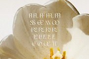 Perennial - Elegant & Ligature Sans, a Sans Serif Font by Mikhail Kitsune (Thumbnail 8 of 9)