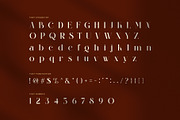 Blittgin Elegant Serif Font, a Serif Font by Perfectype (Thumbnail 7 of 8)