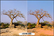 Leica Colors & Sensor Luminance, a Plug-in Add-On by Raztrend (Thumbnail 3 of 29)