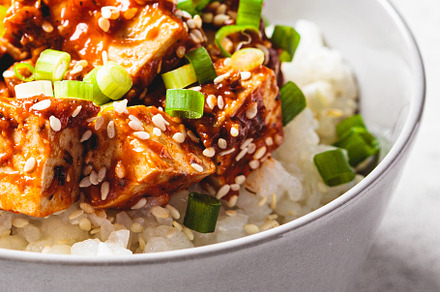 Korean dubu-jorim with rice, a Food & Drink Photo by vaaseenaa