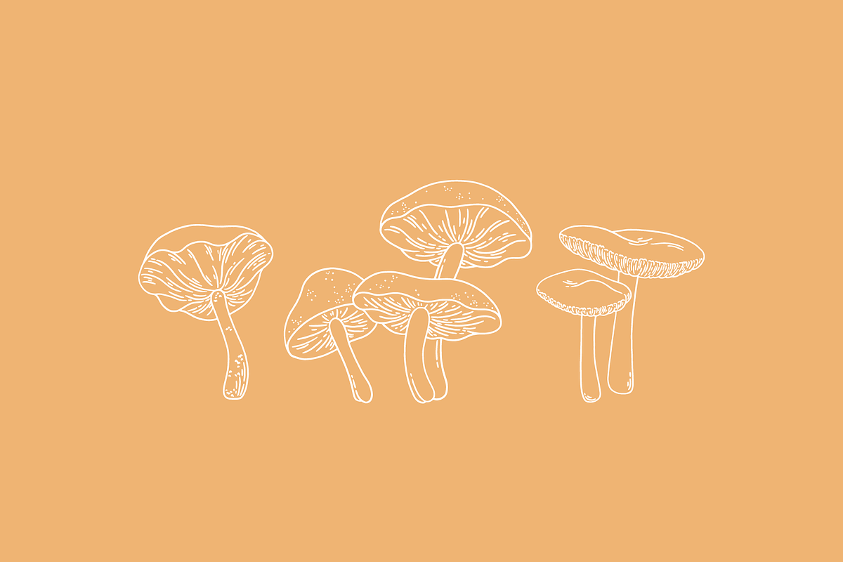 Toadstools Vector Illustrations, a Decorative Illustration by Emma Webb Studio (Photo 5 of 7)