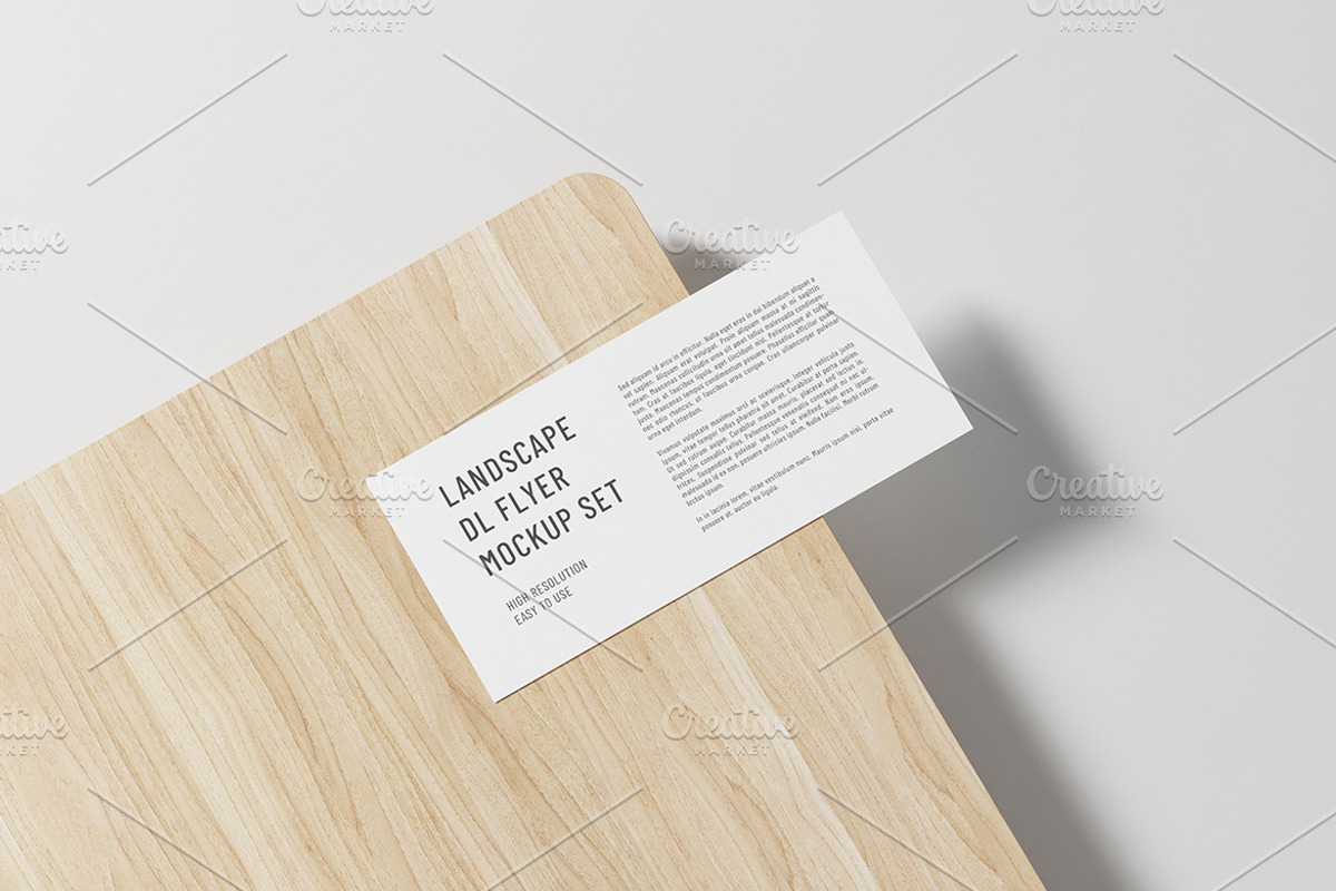 DL Landscape Flyer Mockup Set, a Product Mockup by professorinc (Photo 4 of 5)