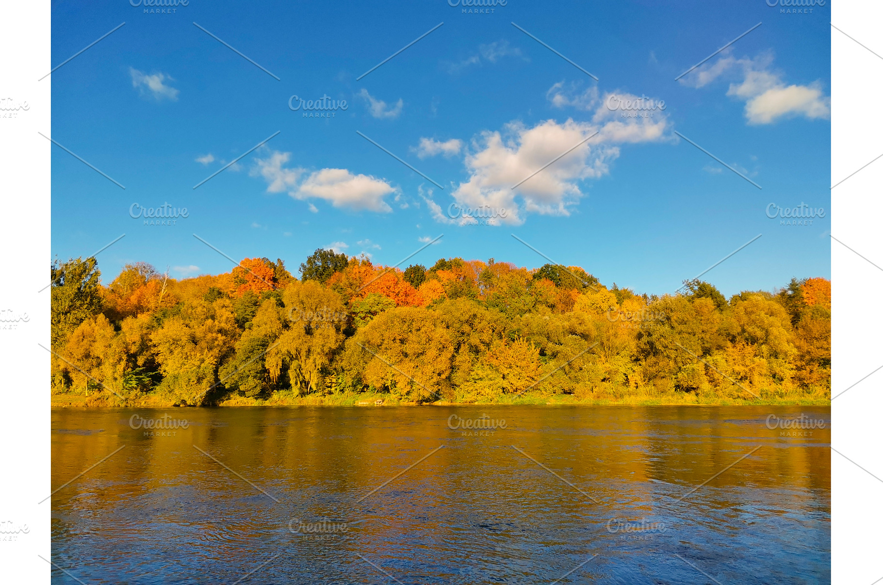 Bright, colorful autumn forest by, a Nature Photo by Tati_Kli