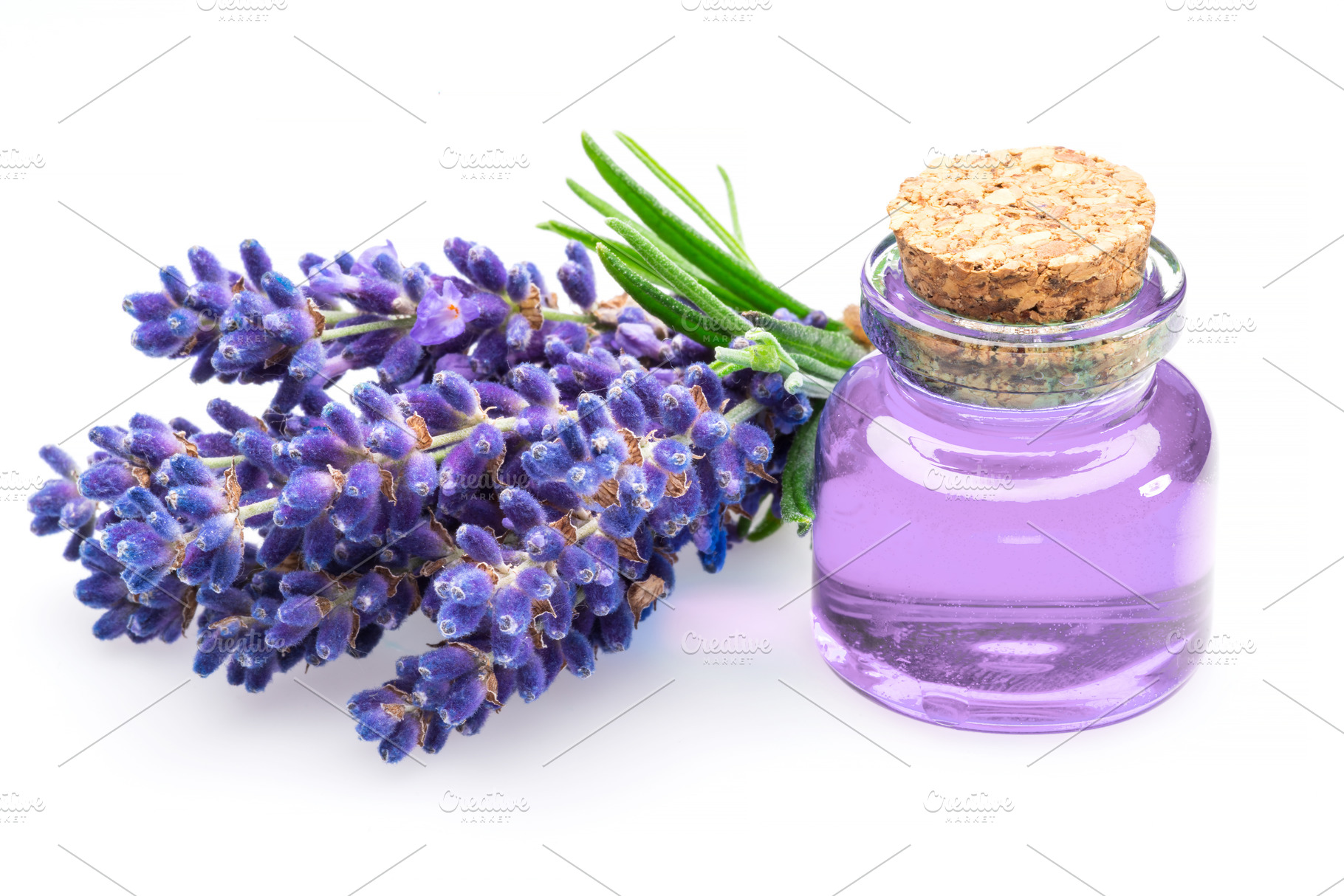 Bunch of lavandula and lavender esse, a Photo by Volff