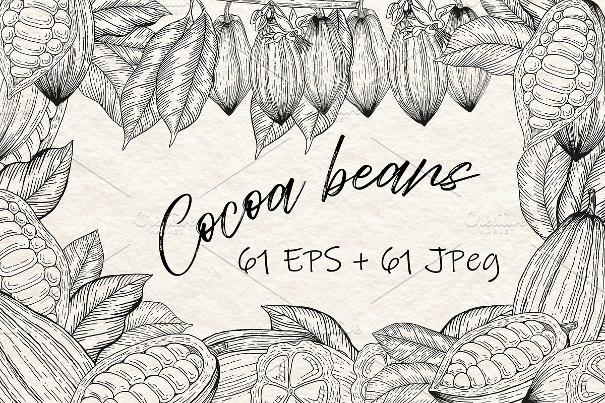 Cocoa Beans Vector illustration, a Food Illustration by Milla_Zelenyuk_art (Photo 1 of 5)