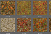 AUTUMN AND WINTER TEXTURE PACK, a Textures & Material 3D Model by Beatheart Creative Studio (Thumbnail 15 of 58)