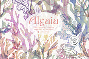 Algaia. Seamless patterns, a Pattern Graphic by emeraldthue (Thumbnail 1 of 10)