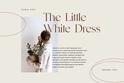 Eleanor Goenka Classic Serif Font, a Serif Font by UICreative (Thumbnail 2 of 13)