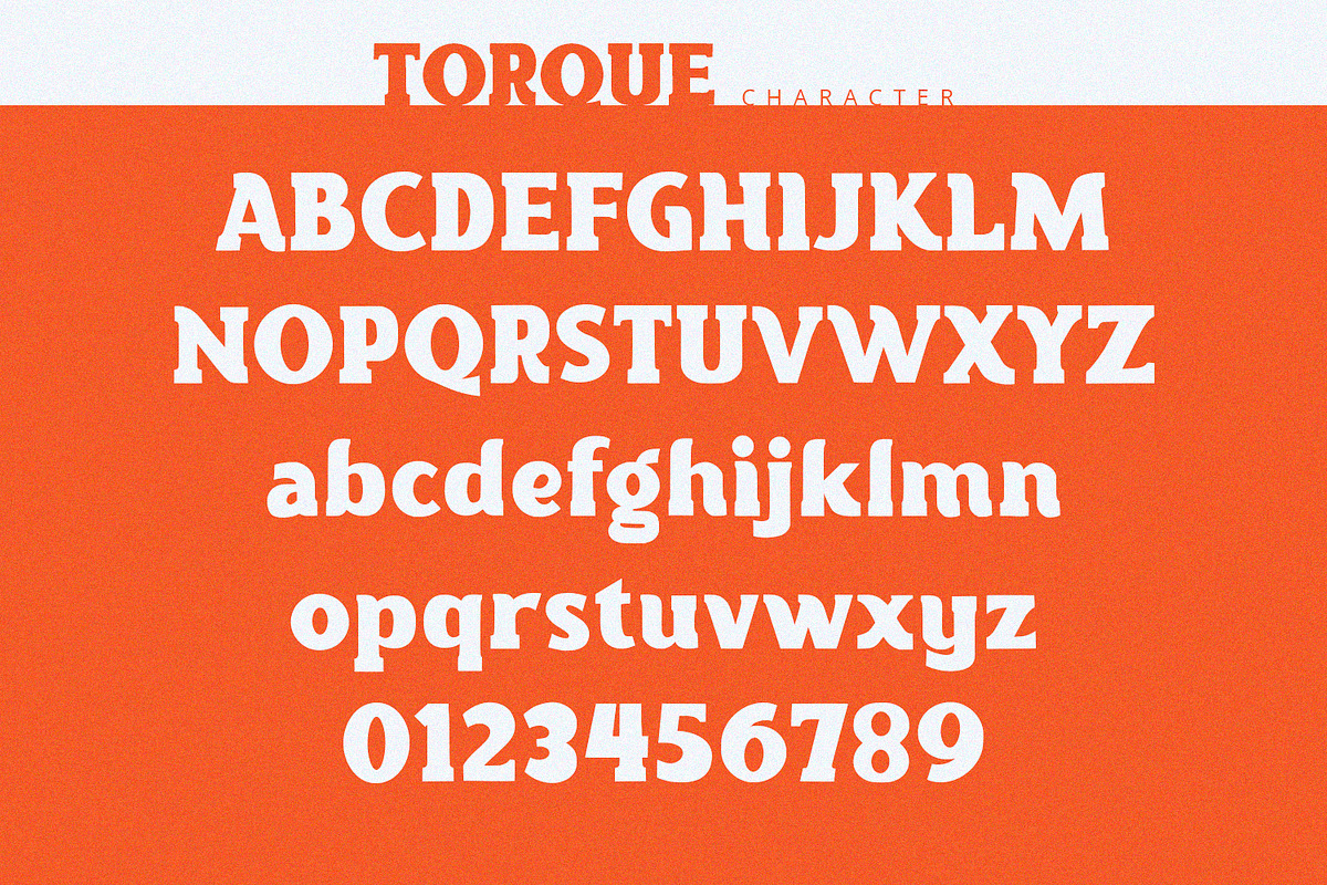 Torque - Serif Font, a Serif Font by Alpaprana (Photo 8 of 10)