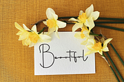 Patrick Tonight, a Handwritten Font by FreshTypeINK (Thumbnail 8 of 8)