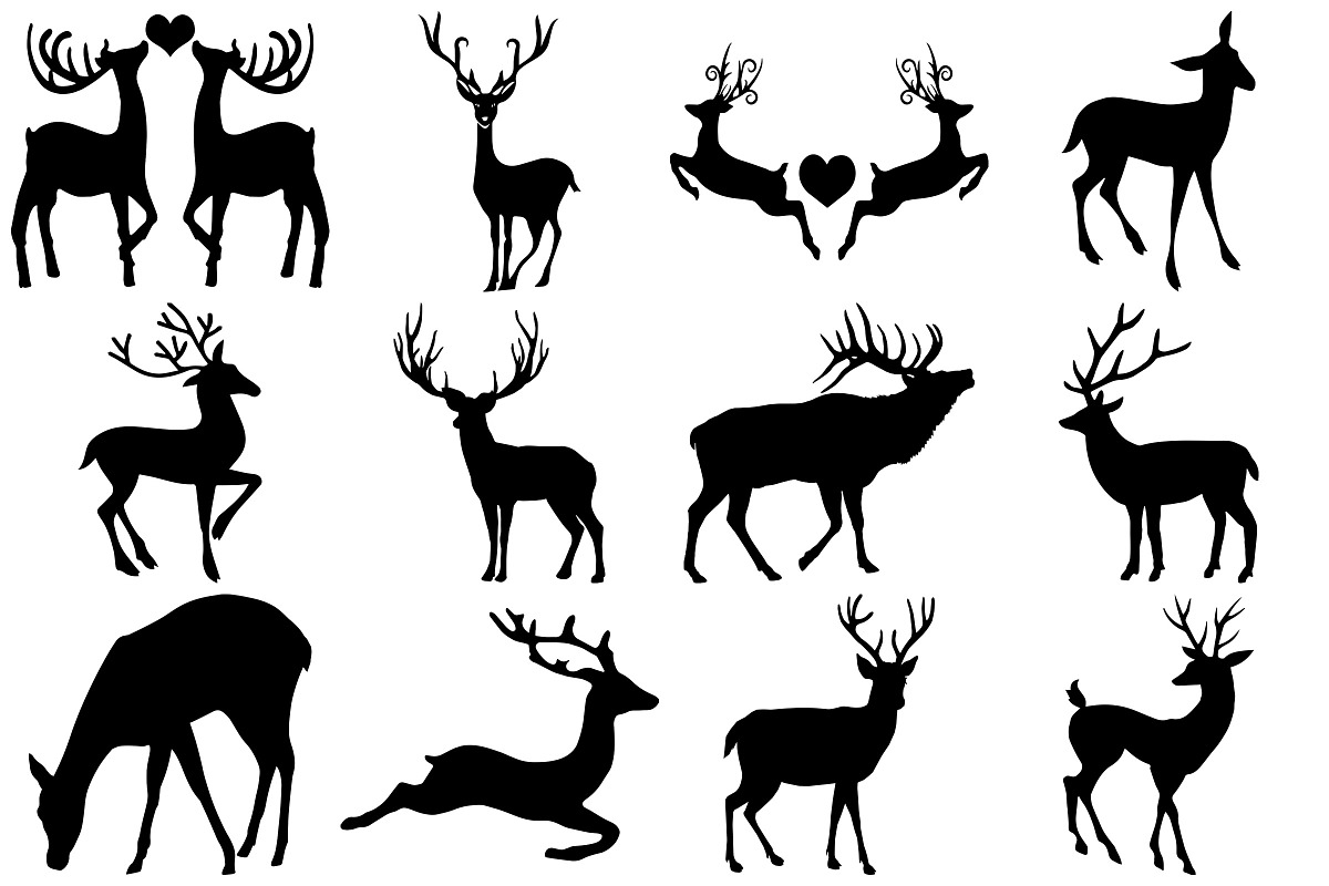 Deer,Forest,AntlerAnimals AI EPS PNG, an Illustration by FrankiesDaughtersDesign (Photo 5 of 6)