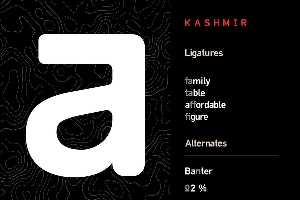 Kashmir preview 7