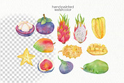 Watercolor Tropical Clipart, a Food Illustration by OllyKo Art (Thumbnail 5 of 8)