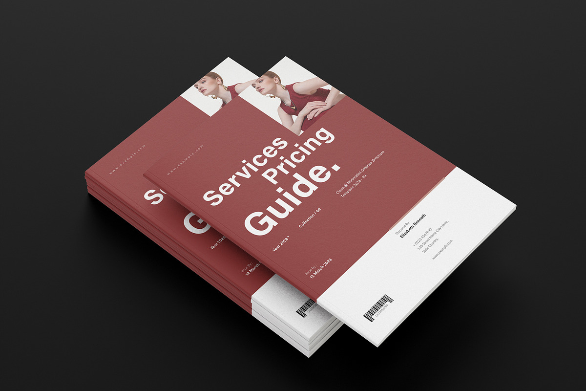 Services and Pricing Guide Template, a Brochure Template by NorthPeak (Photo 10 of 12)