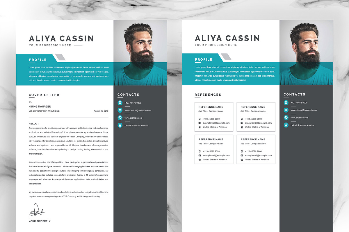 JOB WINNING RESUME - 50 TEMPLATES, a Resume Template by ResumeInventor (Photo 58 of 184)
