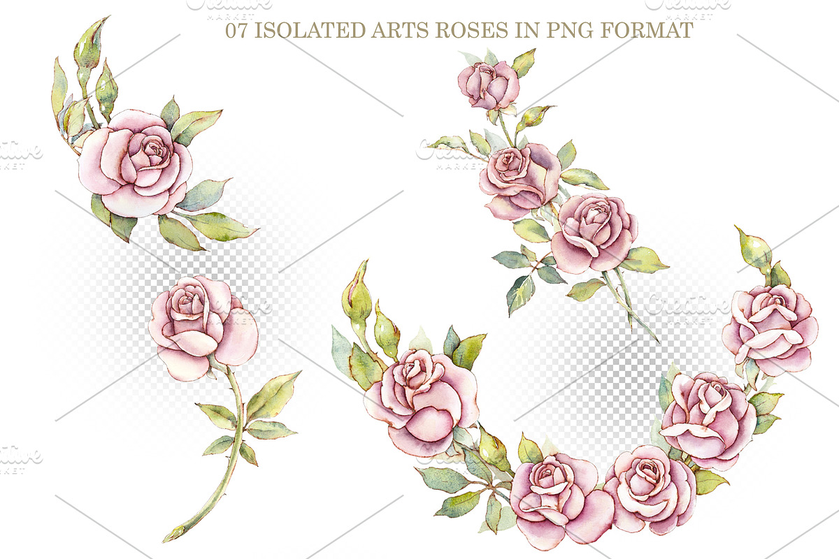 Watercolor Pink Roses, a Decorative Illustration by Budogoshch (Photo 2 of 5)