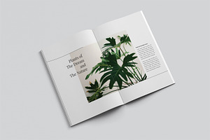 Plant Catalog