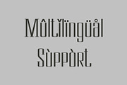 Cloudwick, a Serif Font by LetterStock (Thumbnail 5 of 6)