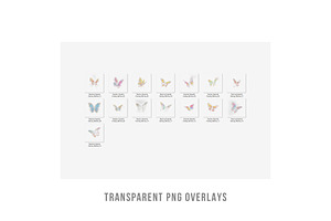 Butterfly Png Transparent Overlays