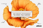 BOOK OF FLOWERS 2 Clipart, an Object Graphic by angelainthefields (Thumbnail 5 of 13)