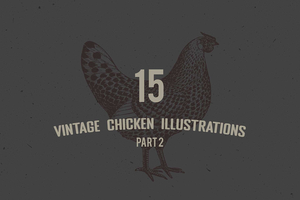 Vintage Chicken Illustrations Vector, an Animal Illustration by Seaquint (Photo 1 of 3)