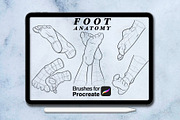 100 foots anatomy procreate brushes, a Brush Add-On by Arts For Peace (Thumbnail 6 of 7)