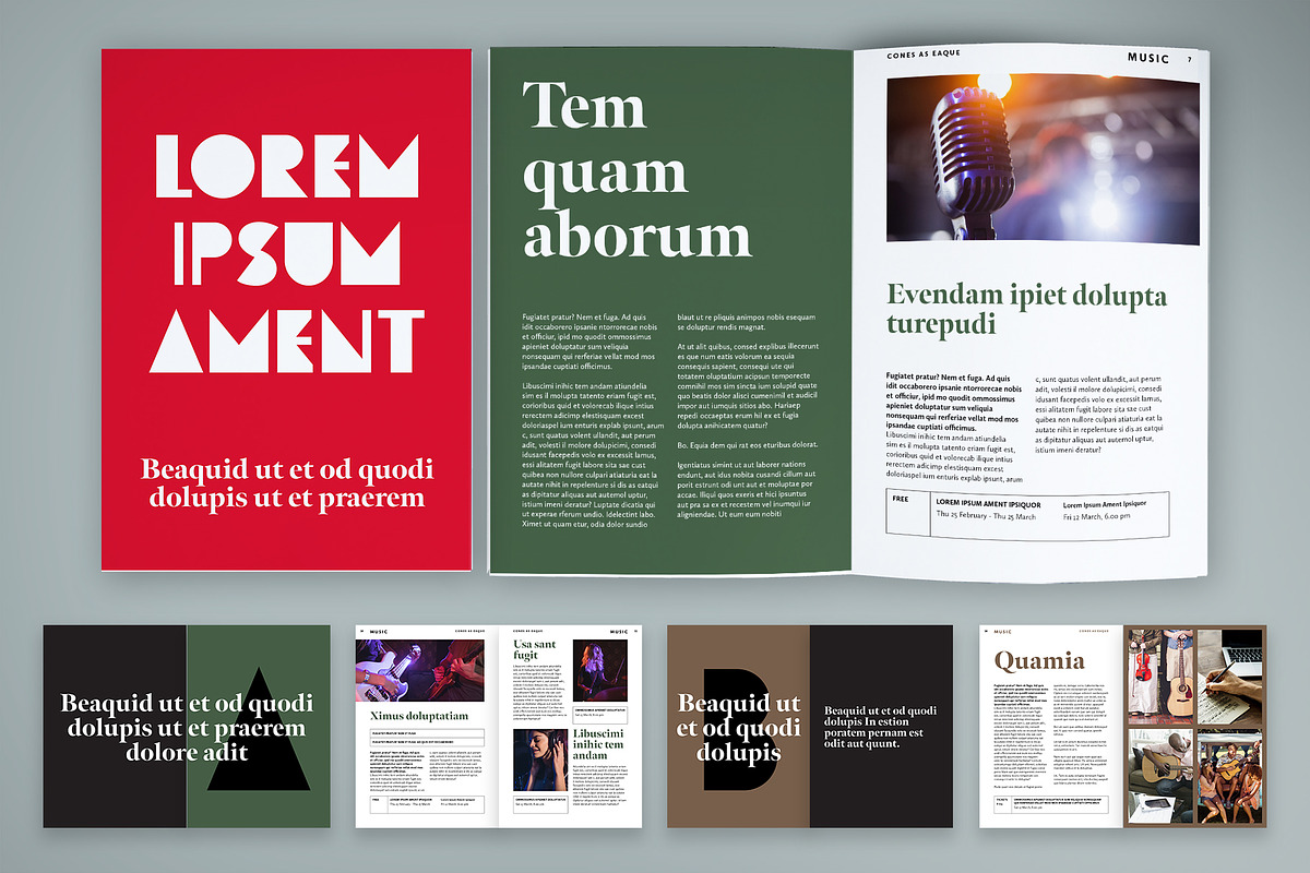 Festival Program of Activities, a Brochure Template by McLittle Stock