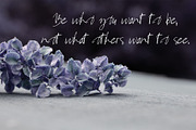 Camira Font, a Script Font by SophieSaxo (Thumbnail 5 of 7)