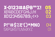 DORIS - Handwritten Font Family, a Handwritten Font by Fontsphere (Thumbnail 9 of 10)