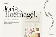 Idealist Serif, a Serif Font by Nicky Laatz (Thumbnail 20 of 34)